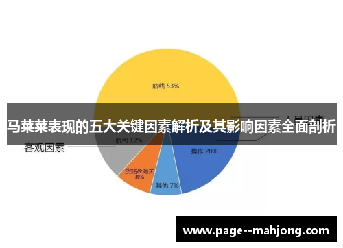 马莱莱表现的五大关键因素解析及其影响因素全面剖析
