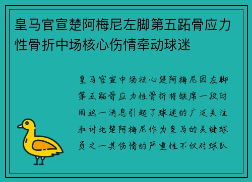 皇马官宣楚阿梅尼左脚第五跖骨应力性骨折中场核心伤情牵动球迷